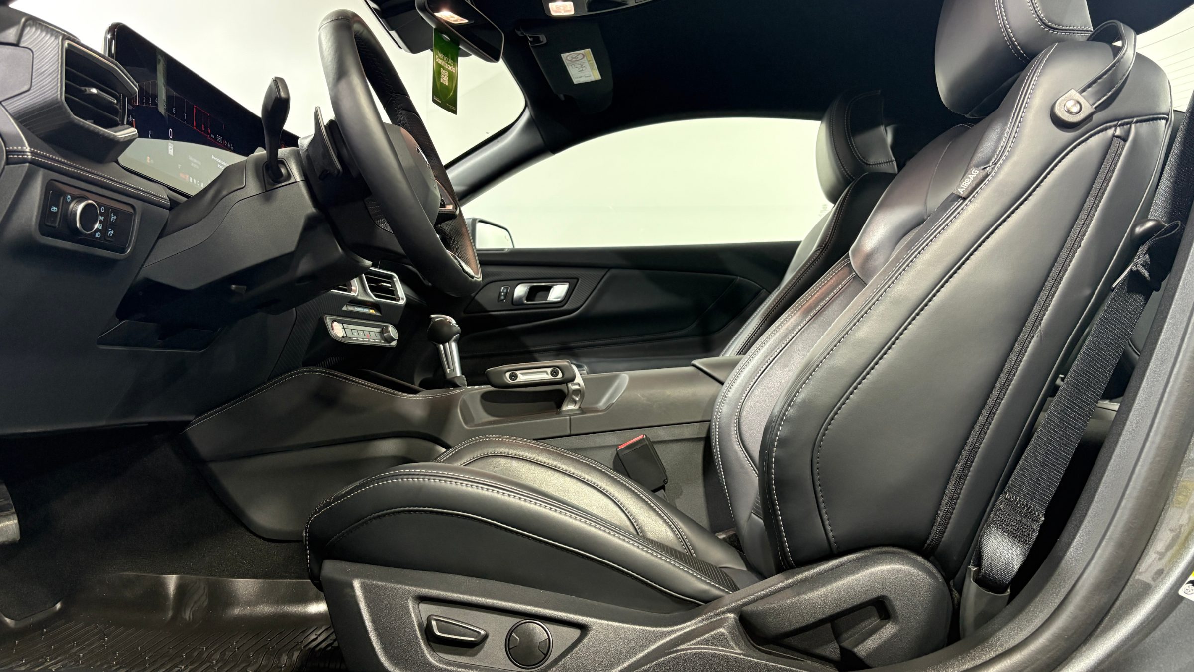 Ford Mustang — foto 10 de 23