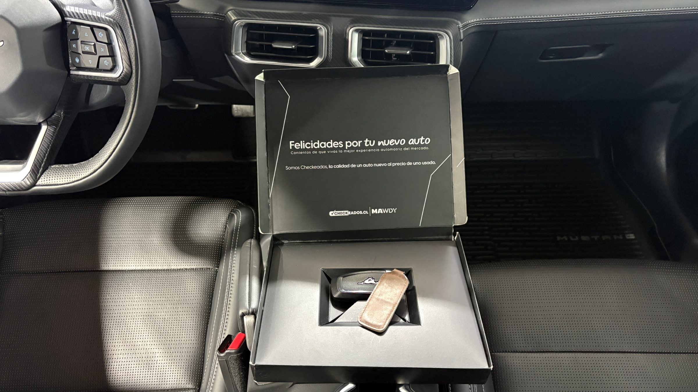 Ford Mustang — foto 19 de 23
